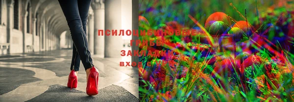 jwh Пестово