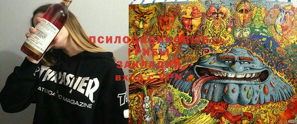 кокаин колумбия Пересвет