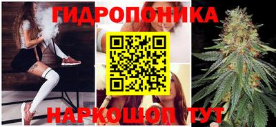 гашик Апрелевка