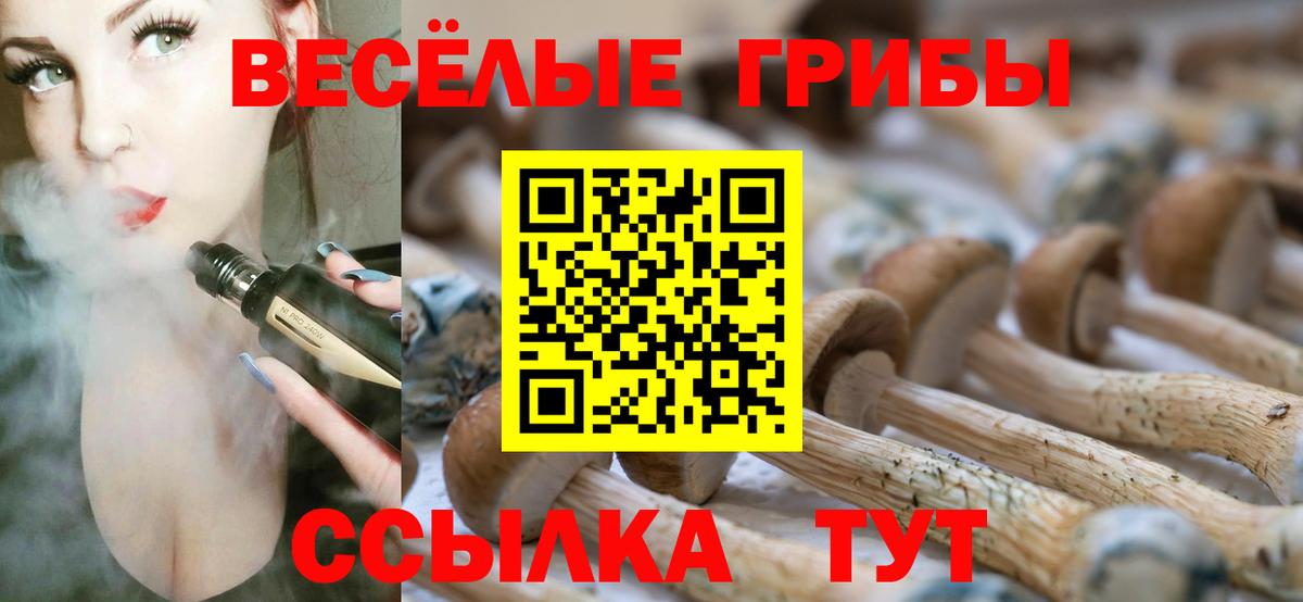 Псилоцибиновые грибы ЛСД  наркотики  Бахчисарай 